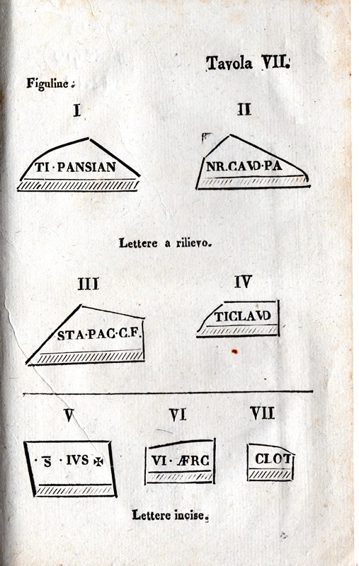 Stranica 81
