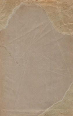 Stranica 238