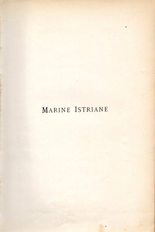 Stranica 10