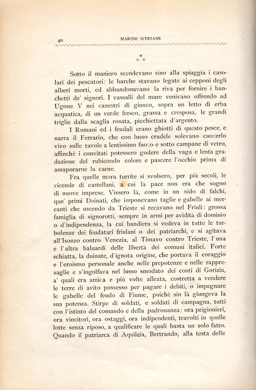 Stranica 45