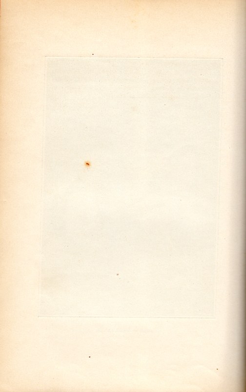Stranica 81