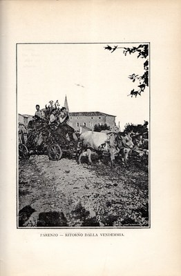 Stranica 258