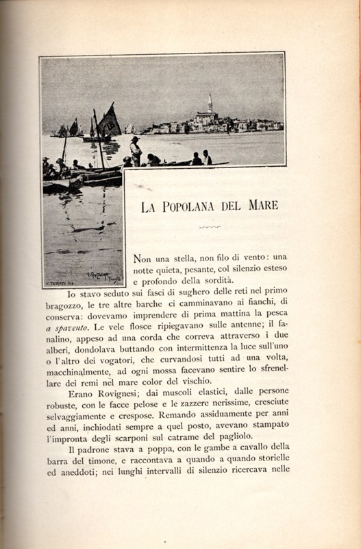 Stranica 276