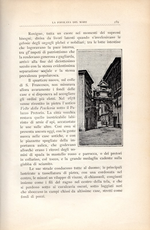 Stranica 294