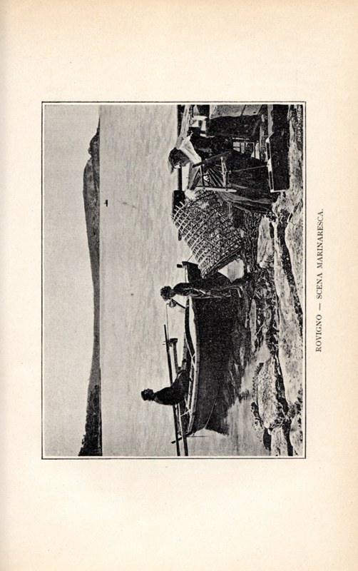 Stranica 304