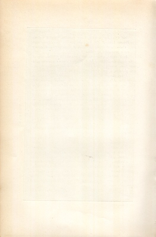 Stranica 381