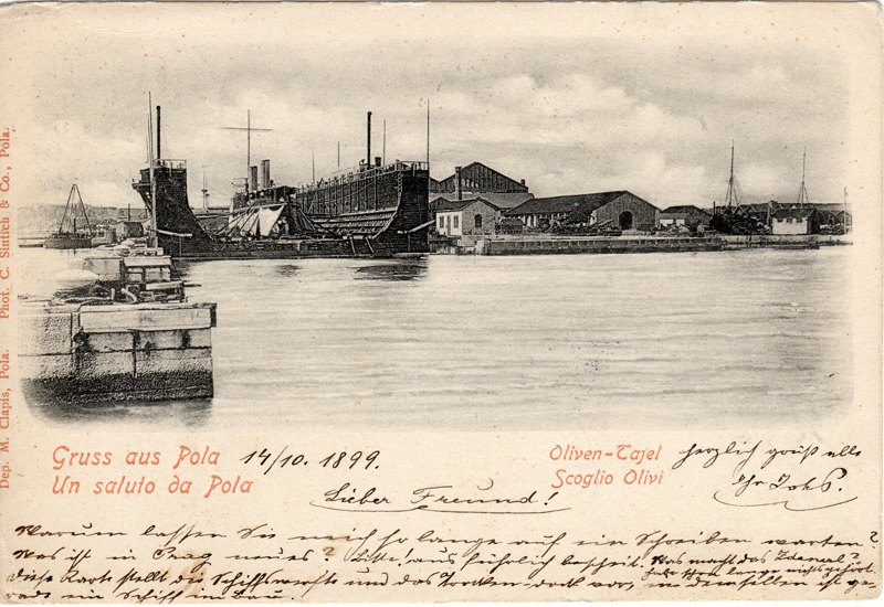 Gruss aus Pola : Oliven-Tajel : Scoglio Olivi