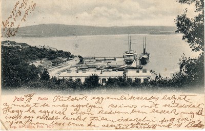 Pola : Fisella