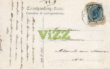 019 naličje
