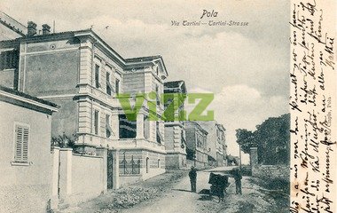 076 lice