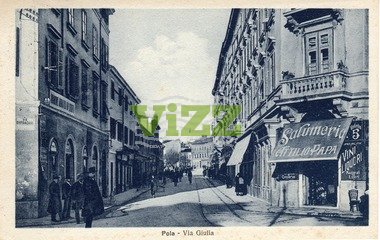 098 lice