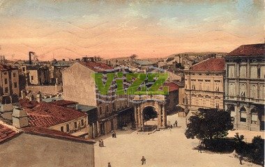 091 lice