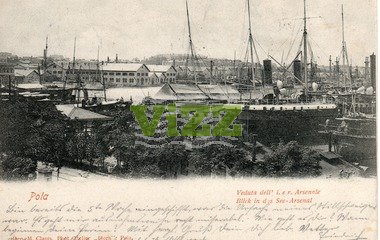 027 lice