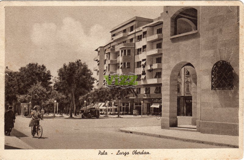 113 lice