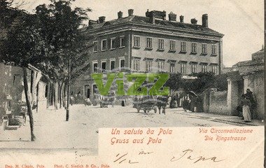 049 lice