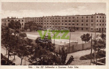 114 lice