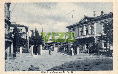 095 lice