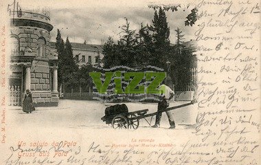 062 lice