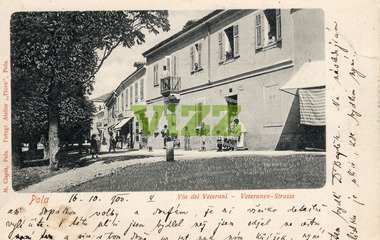041 lice