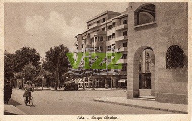 113 lice