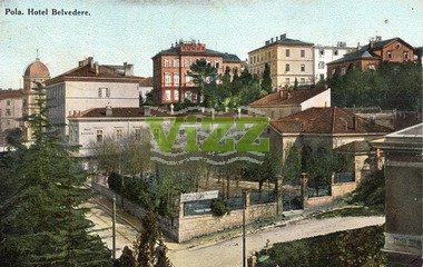 078 lice