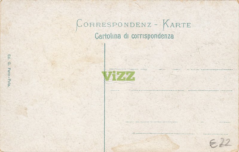031 lice