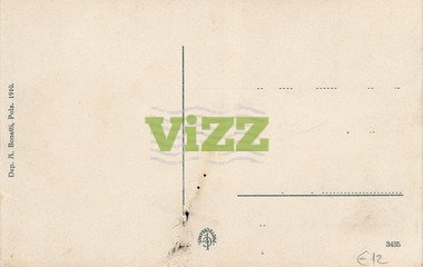 027 lice