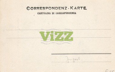 017 lice