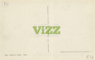 047 lice