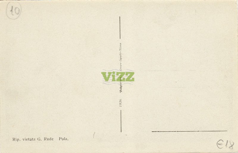 047 lice