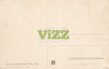 028 lice