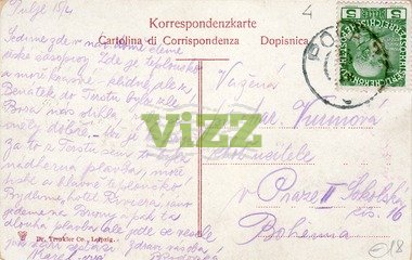 041 lice