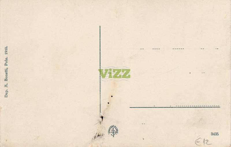 027 lice