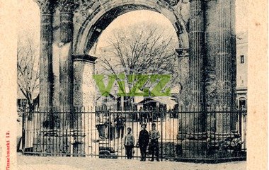 074 lice
