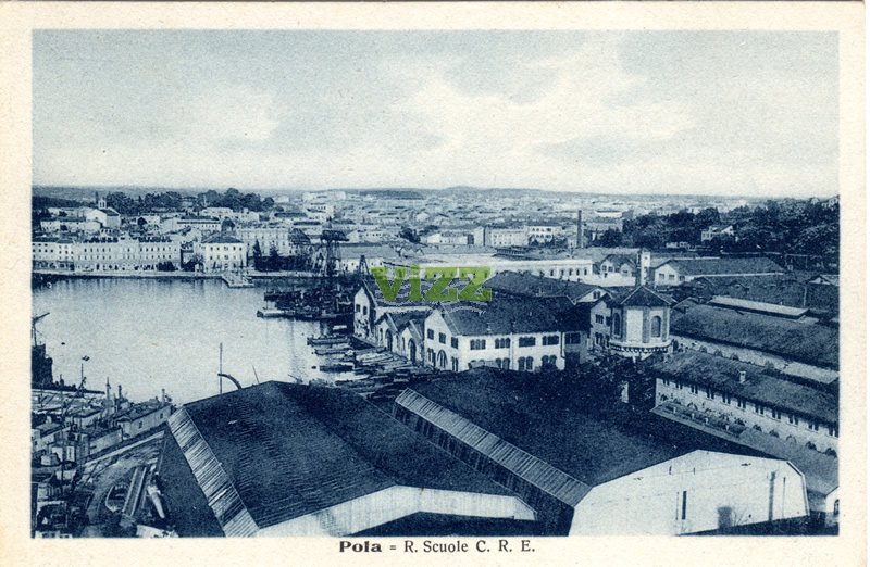 056 lice