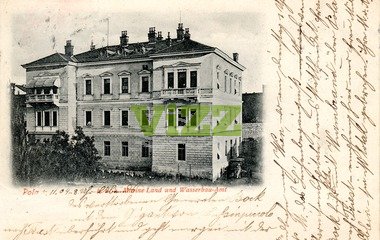 077 lice