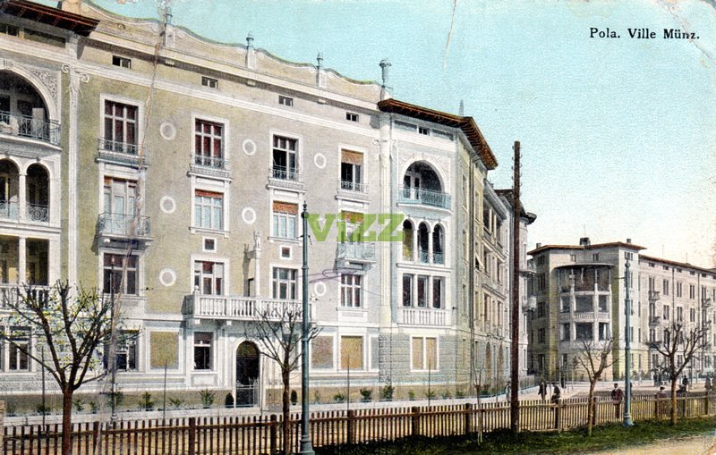 039 lice