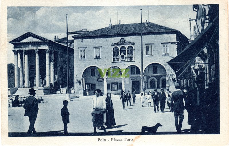 031 lice