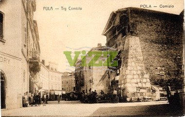 038 lice