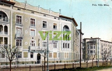 039 lice