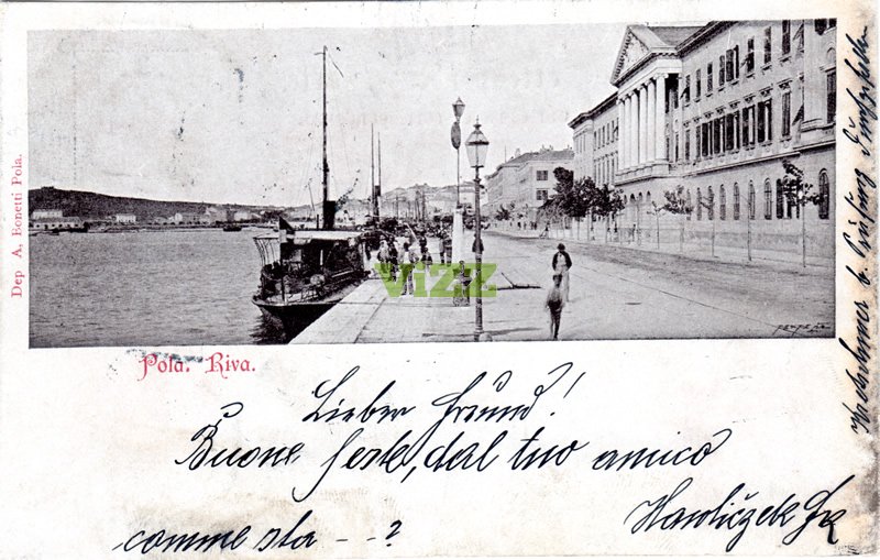 016 lice
