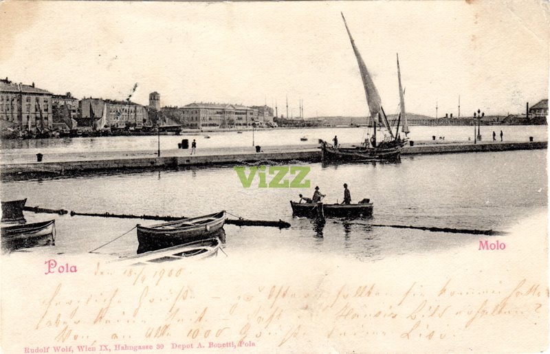 088 lice