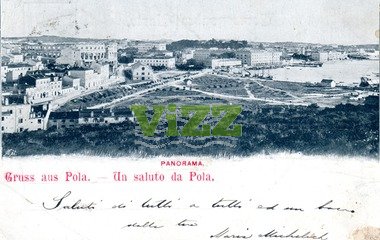 027 lice