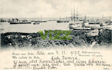 071 lice
