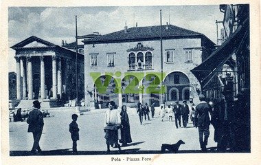 031 lice