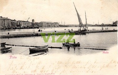 088 lice