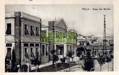 065 lice