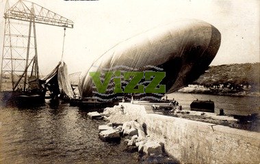 101 lice