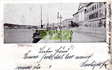 016 lice