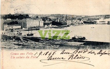 081 lice